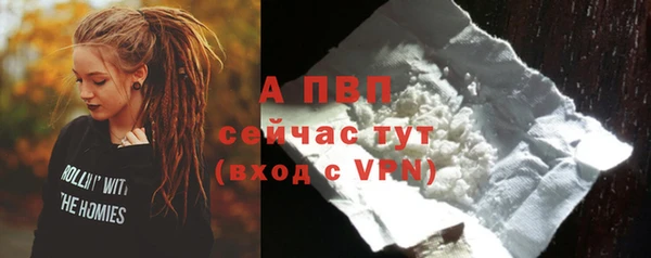 2c-b Пестово