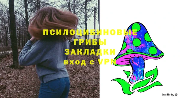 не бодяженный Арсеньев