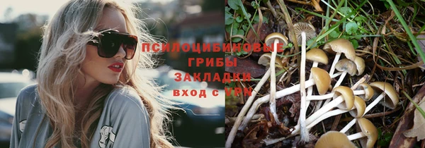 не бодяженный Арсеньев