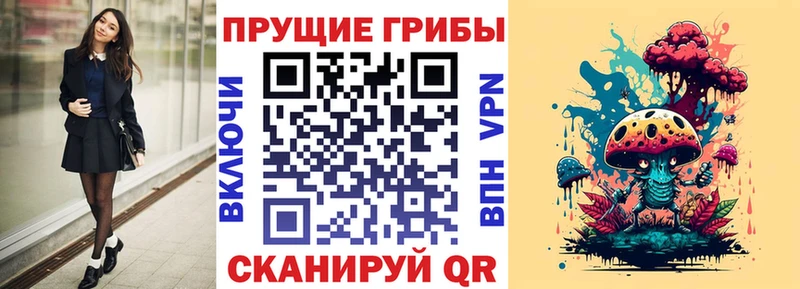 купить наркотик  Верхний Тагил  Псилоцибиновые грибы Magic Shrooms 